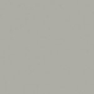 SANDERSON PAINT GREY SQUIRREL  98